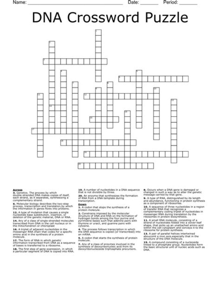 DNA Triplet Crossword Clue