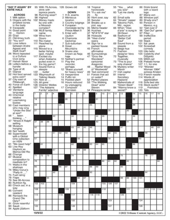 LA Times Buicks, e.g. Crossword Clue