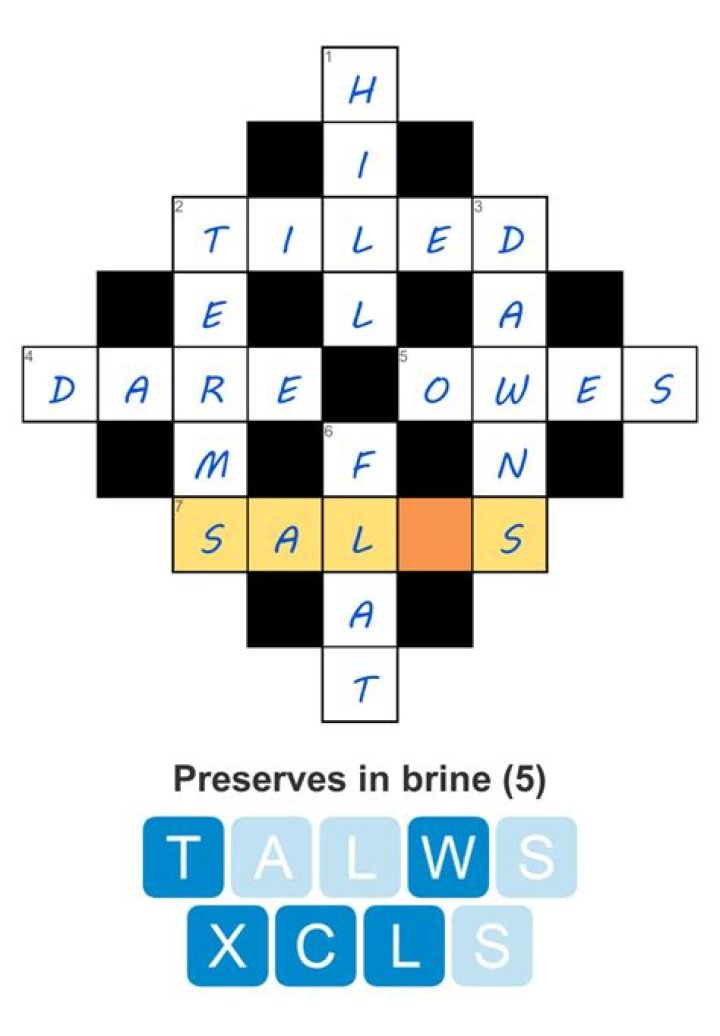 Preserves in brine Crossword Clue 